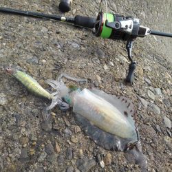 エギング＆穴釣り